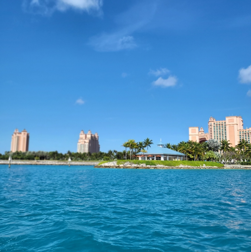 Meet your Posher, Charlene